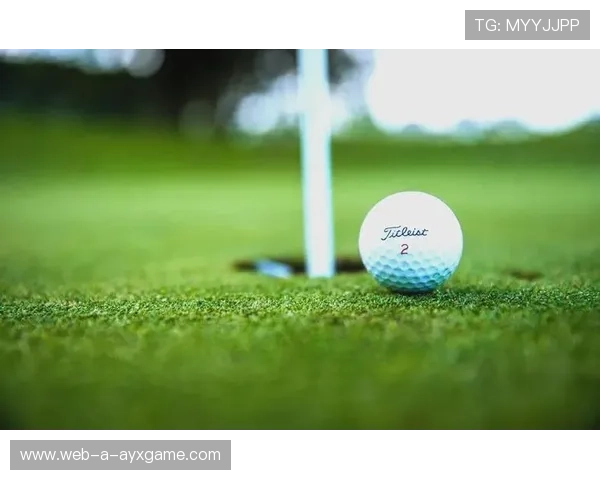 全场高尔夫比洞赛策略差异详解，高尔夫比洞赛规则