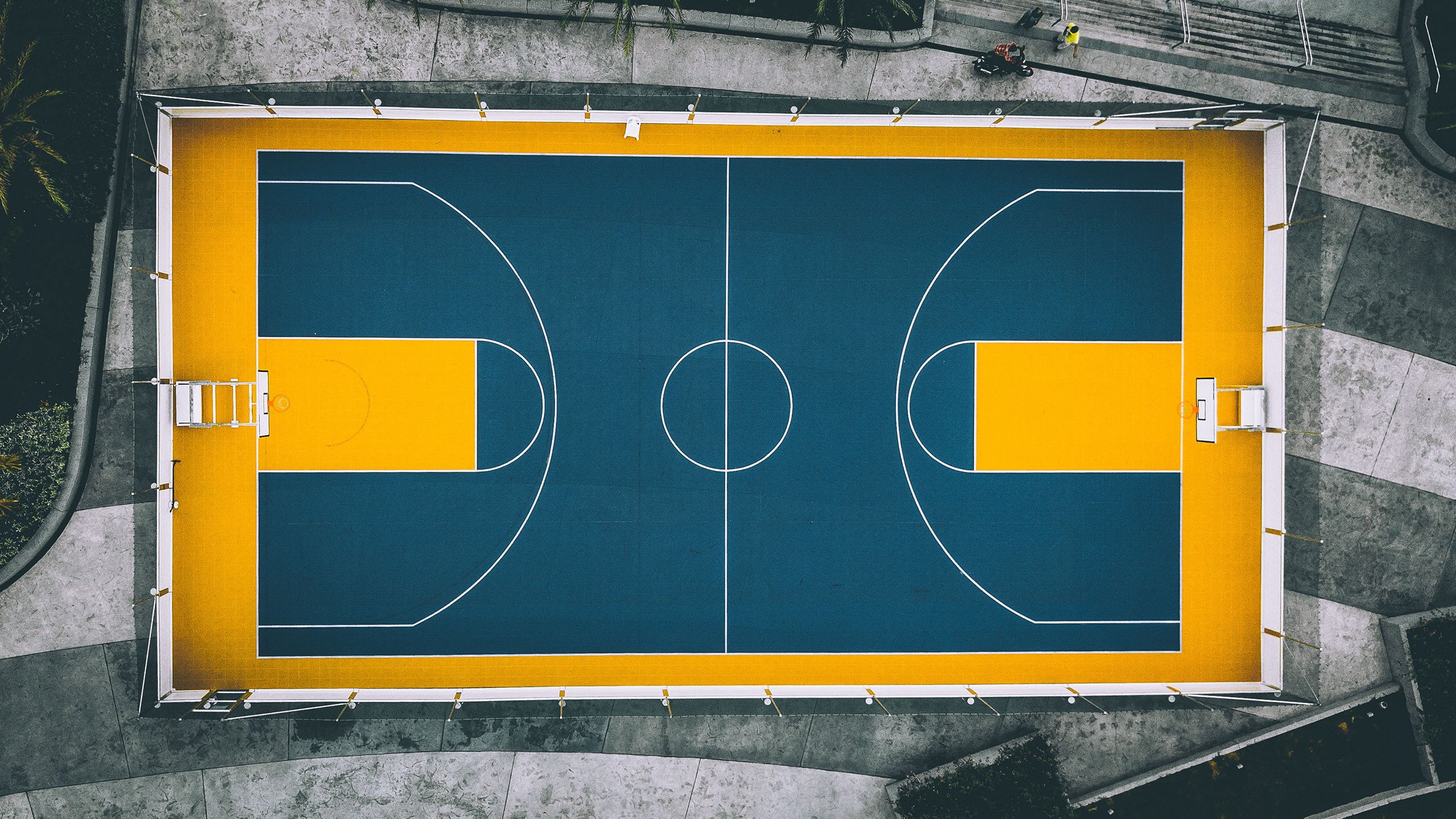 NBA球队青训体系建设的创新实践，nba队内训练赛