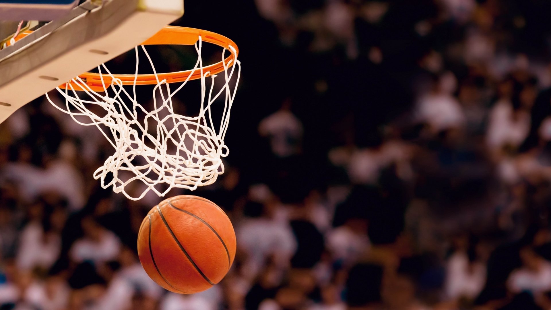 NBA球队青训教练员能力提升研究，nba教练团队配置