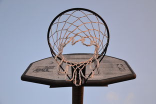 爱游戏登录入口-NBA联盟与高校篮球合作开发机制研究，大学篮球联盟叫什么